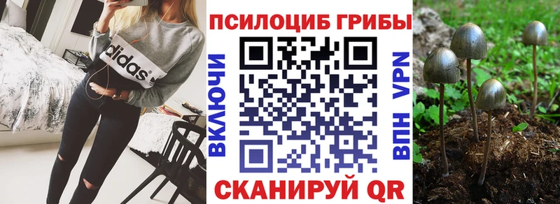 Псилоцибиновые грибы ЛСД  Горнозаводск 